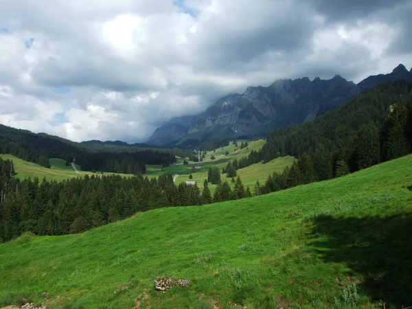 Paesaggio Alpino Della Zona Lutisalp Canton San Gallo Svizzera — Foto Stock