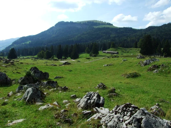 Alpejskim Krajobrazem Regionu Santisalp Kantonu Gallen Szwajcaria — Zdjęcie stockowe