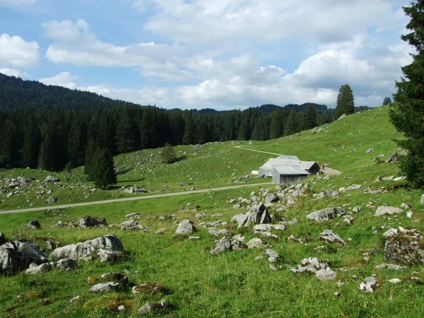 Paisaje Alpino Zona Santisalp Canton Gallen Suiza — Foto de Stock