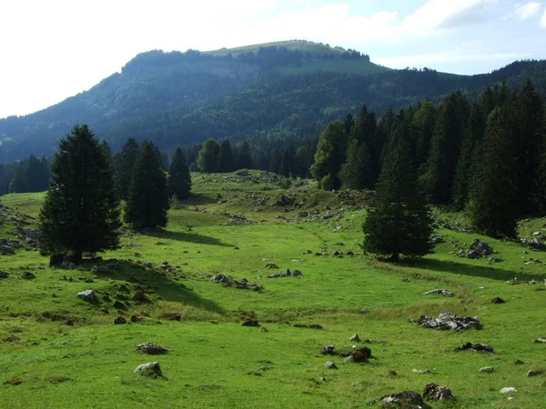 Paisaje Alpino Zona Santisalp Canton Gallen Suiza — Foto de Stock