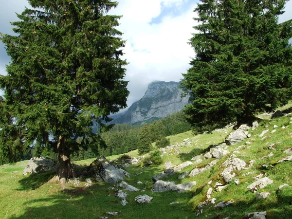 Alp Peyzaj Santisalp Alanı Canton Gallen Sviçre — Stok fotoğraf