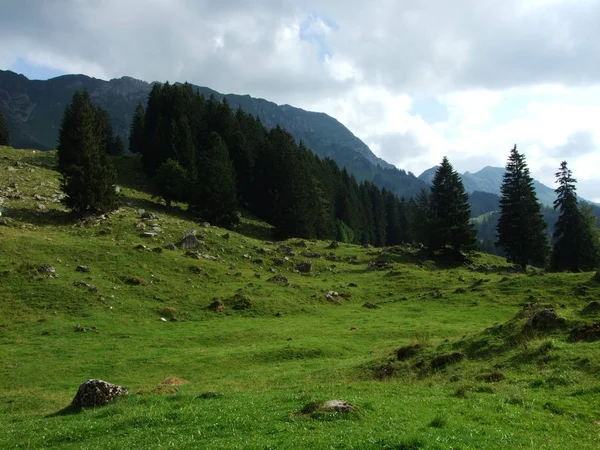 Alpská Krajina Santisalp Oblasti Kantonu Gallen Švýcarsko — Stock fotografie