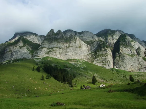 Alpejskim Krajobrazem Regionu Wideralp Kantonu Gallen Szwajcaria — Zdjęcie stockowe