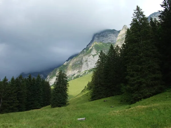 Alp Peyzaj Wideralp Alanı Canton Gallen Sviçre — Stok fotoğraf