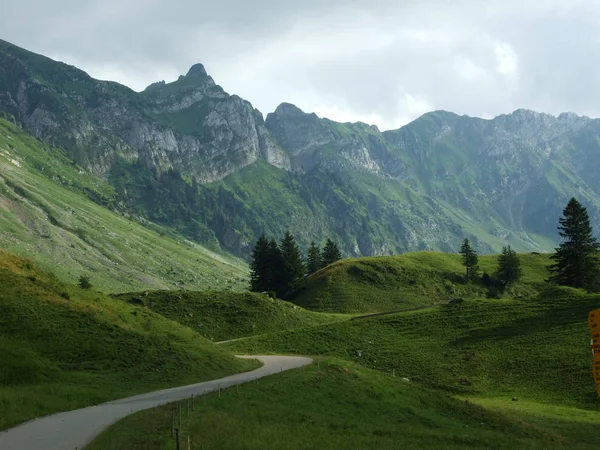 Alpská Krajina Wideralp Oblasti Kantonu Gallen Švýcarsko — Stock fotografie