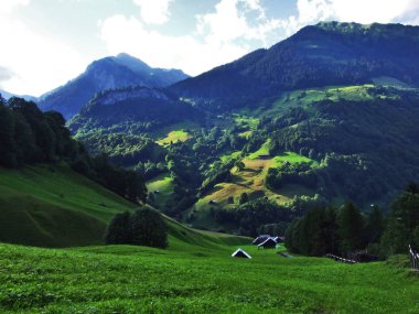 Gölet ve tepeler Vadisi Weisstannenthal - Canton St. Gallen, İsviçre