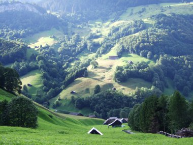 Gölet ve tepeler Vadisi Weisstannenthal - Canton St. Gallen, İsviçre
