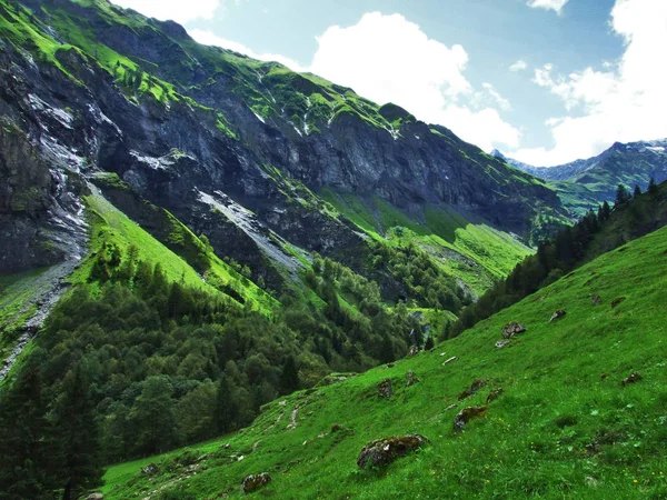 山や岩谷 Weisstannenthal ザンクト ガレンのカントン スイス連邦共和国で — ストック写真