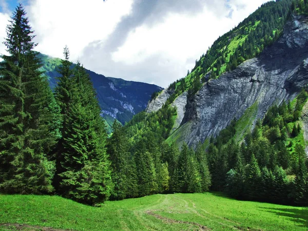 Vijvers Heuvels Vallei Weisstannenthal Kanton Gallen Zwitserland — Stockfoto