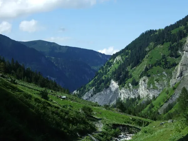 Bergen Rotsen Vallei Weisstannenthal Kanton Gallen Zwitserland — Stockfoto