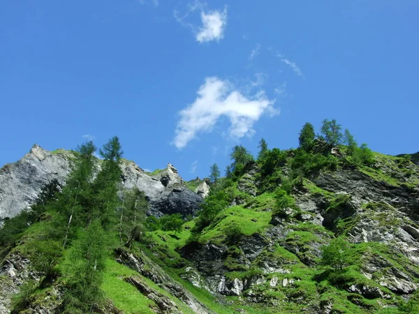 Βουνά Και Τους Βράχους Της Κοιλάδας Weisstannenthal Καντόνιο Του Gallen — Φωτογραφία Αρχείου