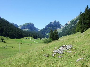Pitoresk mera ve tepeler Appenzellerland alanı - Appenzell Innerrhoden Canton, İsviçre