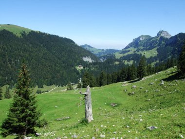 Pitoresk mera ve tepeler Appenzellerland alanı - Appenzell Innerrhoden Canton, İsviçre