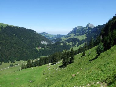 Pitoresk mera ve tepeler Appenzellerland alanı - Appenzell Innerrhoden Canton, İsviçre