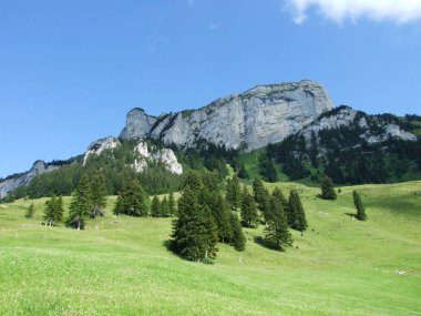 Pitoresk mera ve tepeler Appenzellerland alanı - Appenzell Innerrhoden Canton, İsviçre