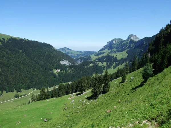 Pastagens Colinas Pitorescas Área Appenzellerland Cantão Appenzell Innerrhoden Suíça — Fotografia de Stock