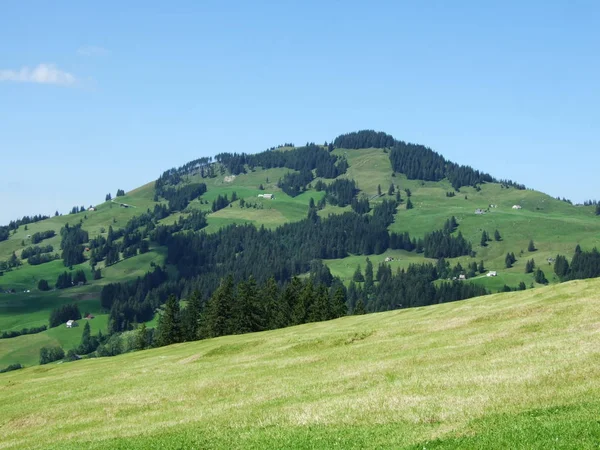 Pastagens Colinas Pitorescas Área Appenzellerland Cantão Appenzell Innerrhoden Suíça — Fotografia de Stock