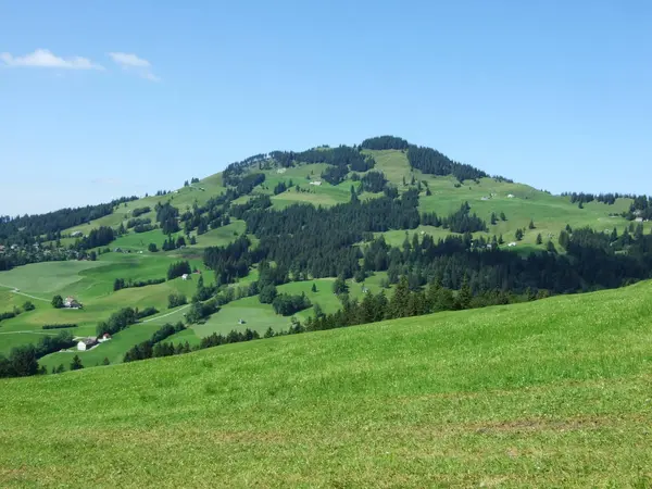 Pâturages Collines Pittoresques Dans Région Appenzellerland Canton Appenzell Innerrhoden Suisse — Photo