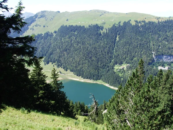 Alp Göl Samtisersee Dağ Ayarı Appenzell Innerrhoden Canton Sviçre — Stok fotoğraf