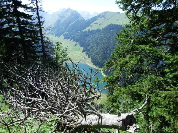 Alpejskie Jezioro Samtisersee Jego Góry Ustawienie Kanton Appenzell Innerrhoden Szwajcaria — Zdjęcie stockowe