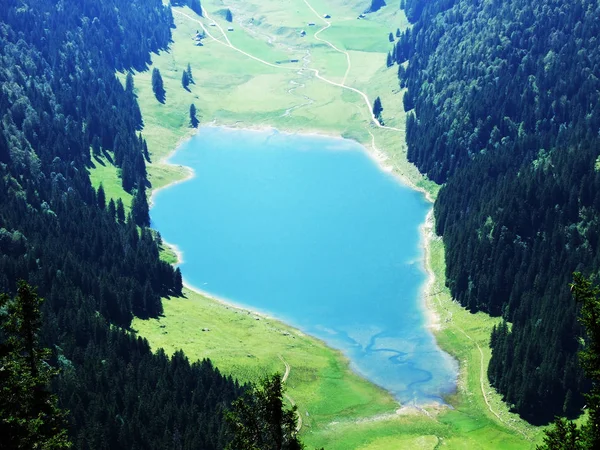 Lago Alpino Samtisersee Entorno Montañoso Cantón Appenzell Innerrhoden Suiza — Foto de Stock