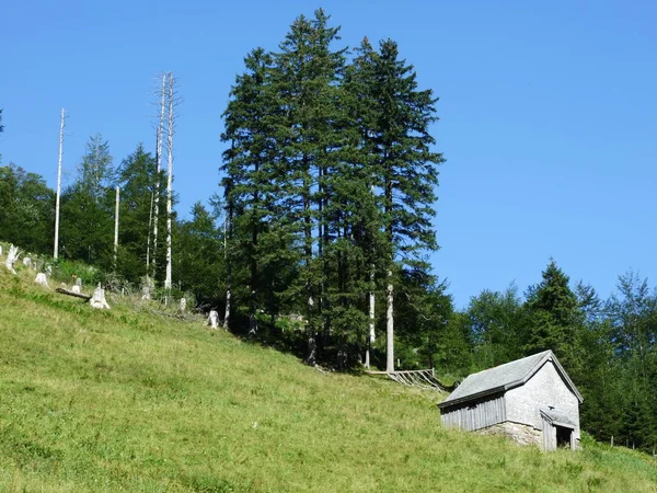 農場および Appenzellerland アッペンツェル Innerrhoden カントン スイス連邦共和国の牧草地 — ストック写真