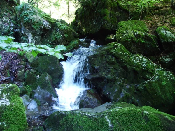 Vodopádů Kaskád Schwendebach Proudu Kanton Appenzell Innerrhoden Švýcarsko — Stock fotografie