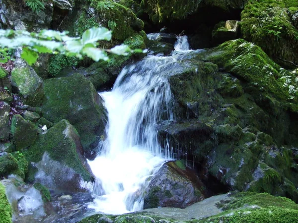 Wodospady Kaskady Schwendebach Stream Kantonie Appenzell Innerrhoden Szwajcaria — Zdjęcie stockowe