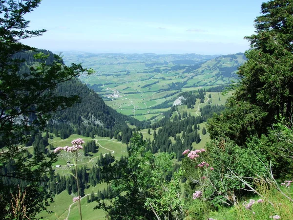 Panorámás Kilátás Nyílik Falu Schwende Brulisau Canton Appenzell Innerrhoden Svájc — Stock Fotó