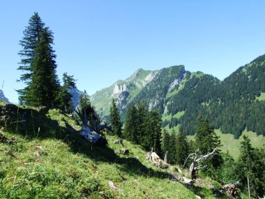 Alpstein dağ silsilesi - Appenzell Innerrhoden Canton, İsviçre pastoral Panoraması