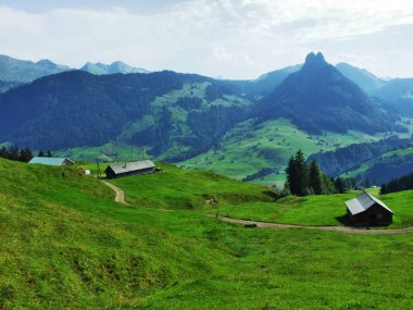 Çiftlikleri ve mera Obertoggenburg bölgesi - Canton St. Gallen, İsviçre