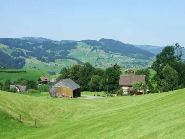 Gospodarstw Rolnych Pastwisk Obertoggenburg Regionu Kantonu Gallen Szwajcaria — Zdjęcie stockowe