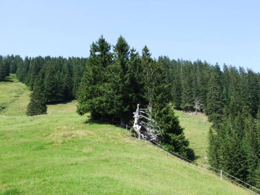 Pitoresk mera ve tepeler Obertoggenburg alanı - Canton St. Gallen, İsviçre