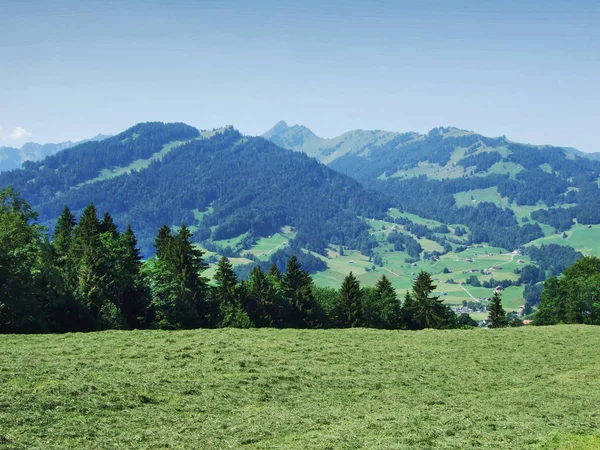 美しい牧草地と Obertoggenburg エリア ザンクト ガレンのカントン スイス連邦共和国の丘 — ストック写真