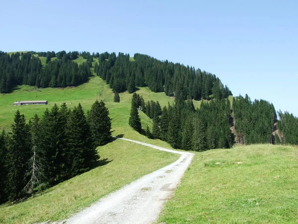 Malownicze Pastwiska Wzgórz Obertoggenburg Rejon Kantonu Gallen Szwajcaria — Zdjęcie stockowe