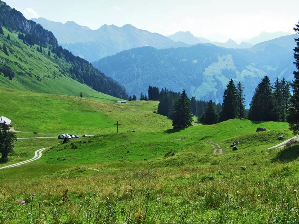 Pais Colinas Pitorescas Área Obertoggenburg Cantão Gallen Suíça — Fotografia de Stock