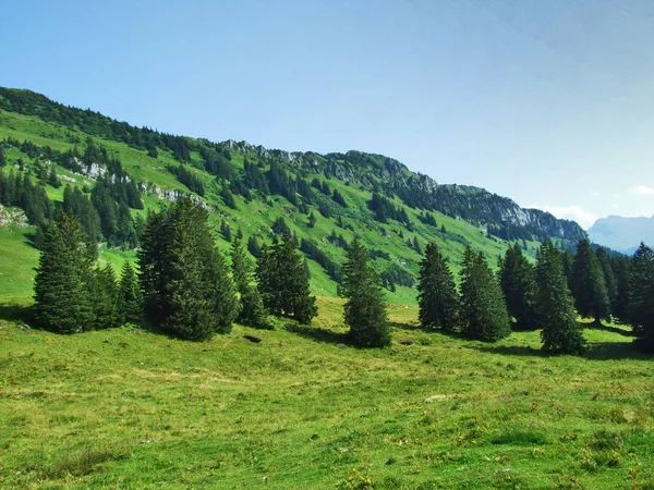 Pitoresk Mera Tepeler Obertoggenburg Alanı Canton Gallen Sviçre — Stok fotoğraf