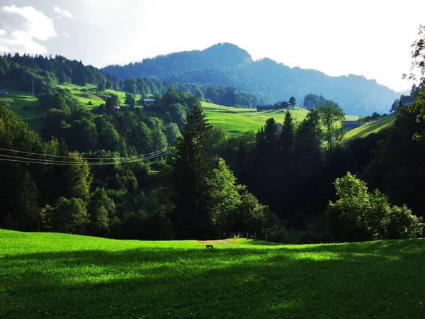 Живописные Пастбища Холмы Обертоггенбурга Кантон Санкт Галлен Швейцария — стоковое фото