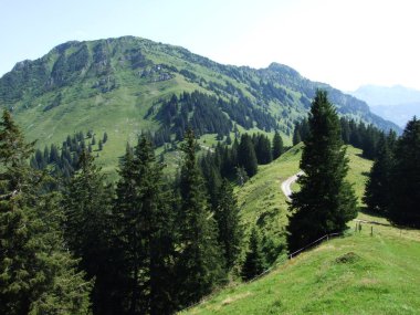 Neuenalpspitz tepe Obertoggenburg dağ - Canton St. Gallen, İsviçre