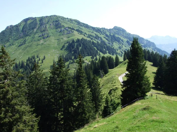 Neuenalpspitz Tepe Obertoggenburg Dağ Canton Gallen Sviçre — Stok fotoğraf