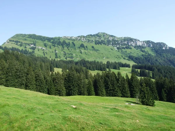Neuenalpspitz Vrcholem Pohoří Obertoggenburg Kantonu Gallen Švýcarsko — Stock fotografie
