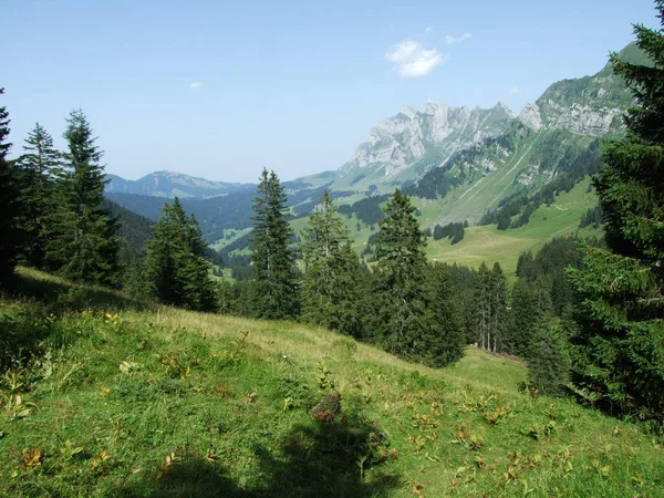 Pasmo Górskie Obertoggenburg Santis Szczyt Kantonu Gallen Szwajcaria — Zdjęcie stockowe
