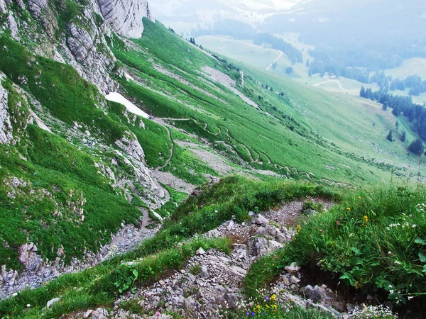 Alpejskim Krajobrazem Regionu Wideralp Kantonu Gallen Szwajcaria — Zdjęcie stockowe