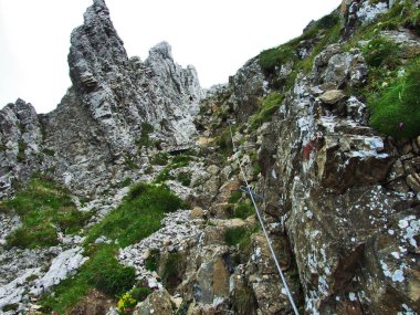 Peyzaj ve çevre Alpstein dağ silsilesi - Canton St. Gallen, İsviçre