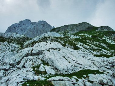 Peyzaj ve çevre Alpstein dağ silsilesi - Canton St. Gallen, İsviçre