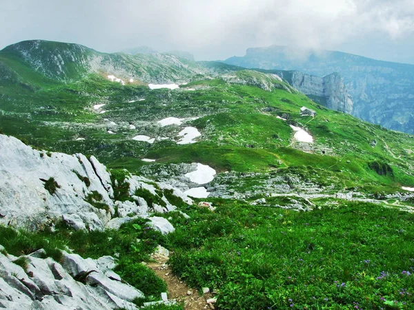Paesaggio Ambiente Della Catena Montuosa Alpstein Canton San Gallo Svizzera — Foto Stock