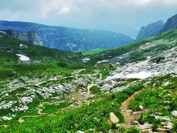 Пейзаж Окружающая Среда Горного Массива Альпштайн Кантон Санкт Галлен Швейцария — стоковое фото