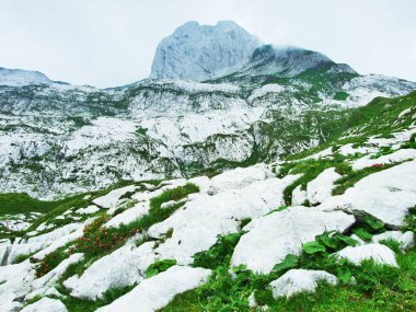 Peyzaj ve çevre Alpstein dağ silsilesi - Canton St. Gallen, İsviçre