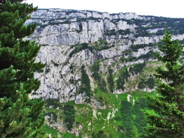 Peyzaj ve çevre Alpstein dağ silsilesi - Canton St. Gallen, İsviçre
