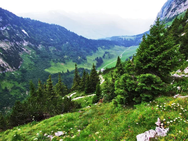 Krajina Životní Prostředí Alpstein Pohoří Kantonu Gallen Švýcarsko — Stock fotografie